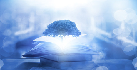 34万国产车推荐